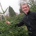 Sapins de Noël du Vent de Bise